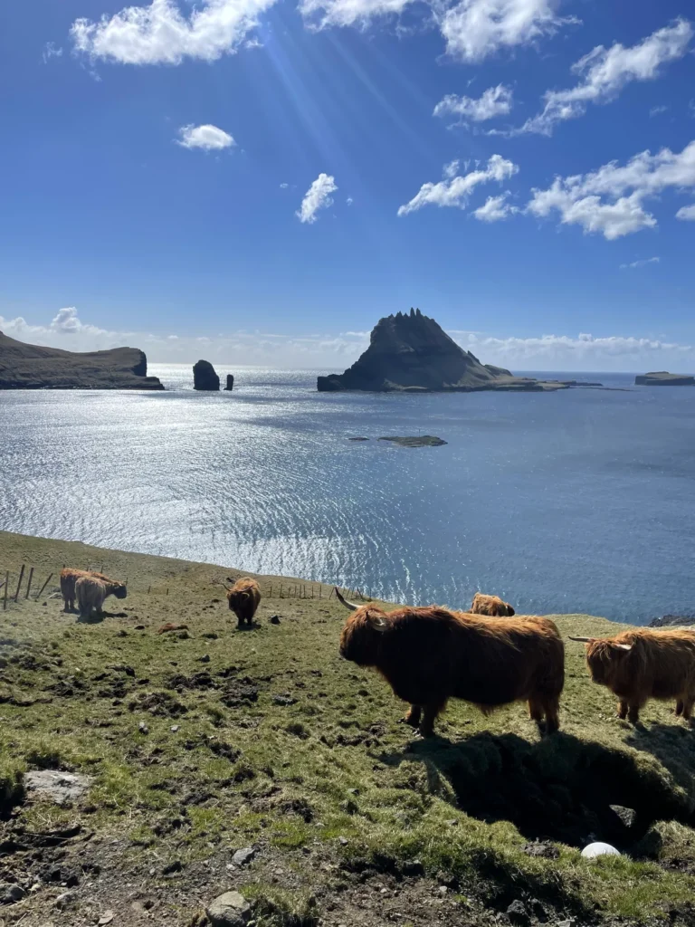 Pogled iz sela Bøur na ostrvo Tindhólmur, ostrvo Vágar, Farska Ostrva